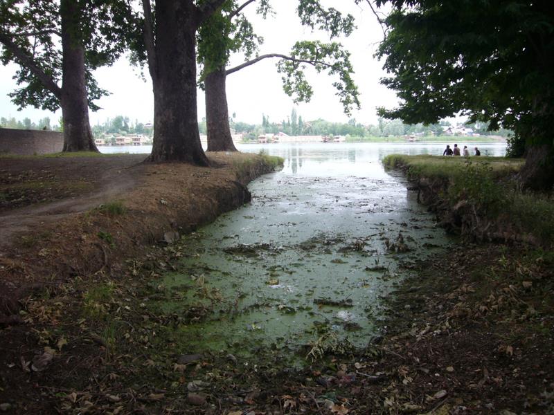Travel - India - Kashmir - Srinagar - Nageen Paddling Trip